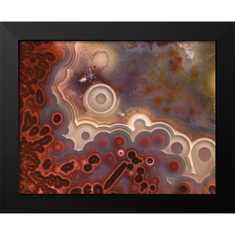 OR, Pattern in Mexican crazy lace agate Black Modern Wood Framed Art Print by Terrill, Steve