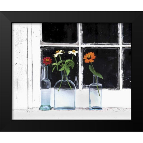 USA, Oregon, Zinnias in bottles on windowsill Black Modern Wood Framed Art Print by Terrill, Steve