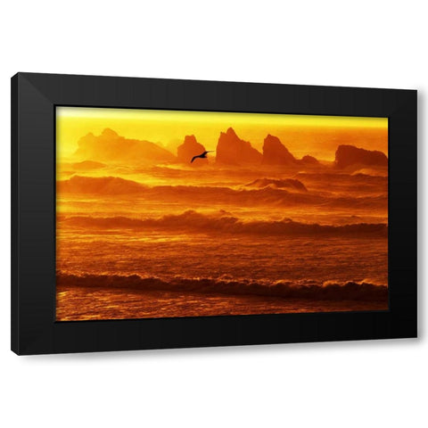Oregon, Bandon Sunset over waves and sea stacks Black Modern Wood Framed Art Print by Welling, Dave