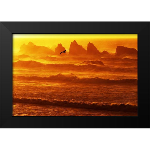 Oregon, Bandon Sunset over waves and sea stacks Black Modern Wood Framed Art Print by Welling, Dave