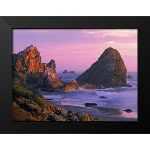 OR, Harris State Beach Sea stacks at sunset Black Modern Wood Framed Art Print by Welling, Dave