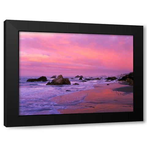 OR, Harris State Beach Sea stacks at dawn Black Modern Wood Framed Art Print by Welling, Dave