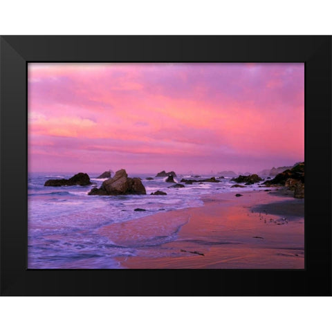 OR, Harris State Beach Sea stacks at dawn Black Modern Wood Framed Art Print by Welling, Dave