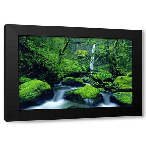 OR, Columbia Gorge Elowah Falls and boulders Black Modern Wood Framed Art Print with Double Matting by Welling, Dave