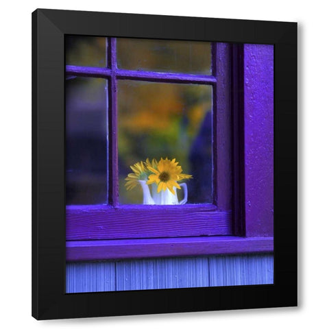 OR, Brownsville Sunflowers in a window Black Modern Wood Framed Art Print with Double Matting by Terrill, Steve