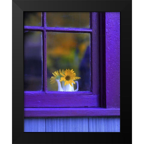 OR, Brownsville Sunflowers in a window Black Modern Wood Framed Art Print by Terrill, Steve