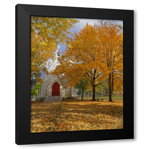 OR, Cove Ascension Chapel surrounded by autumn Black Modern Wood Framed Art Print with Double Matting by Terrill, Steve