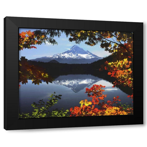 OR, Mt Hood NF Mt Hood from Lost Lake in fall Black Modern Wood Framed Art Print by Terrill, Steve