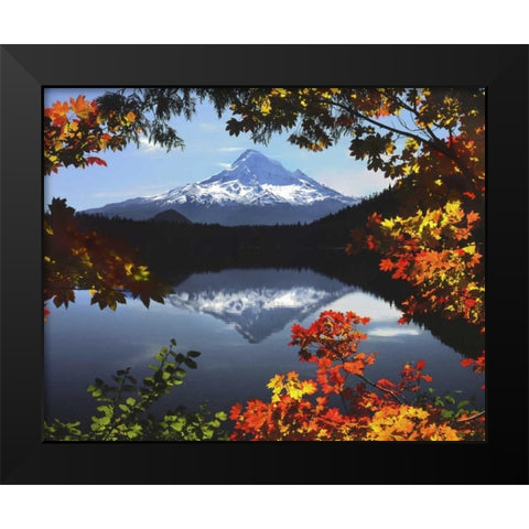 OR, Mt Hood NF Mt Hood from Lost Lake in fall Black Modern Wood Framed Art Print by Terrill, Steve