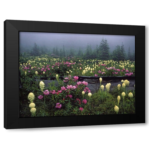 OR Meadow of rhododendrons and bear grass Black Modern Wood Framed Art Print with Double Matting by Terrill, Steve