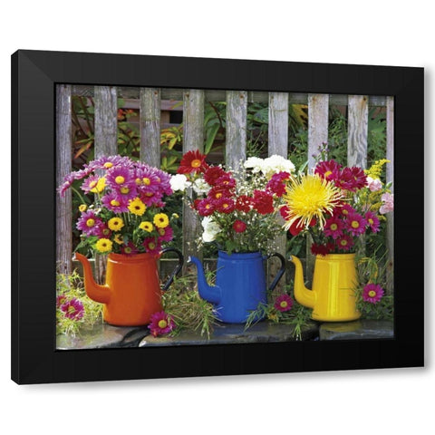 OR, Portland Antique coffeepots with flowers Black Modern Wood Framed Art Print by Terrill, Steve