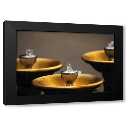 OR, Portland Benson Bubblers in downtown Black Modern Wood Framed Art Print with Double Matting by Terrill, Steve
