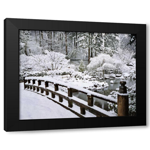 Oregon, Portland Winter snowfall in a Garden Black Modern Wood Framed Art Print by Terrill, Steve