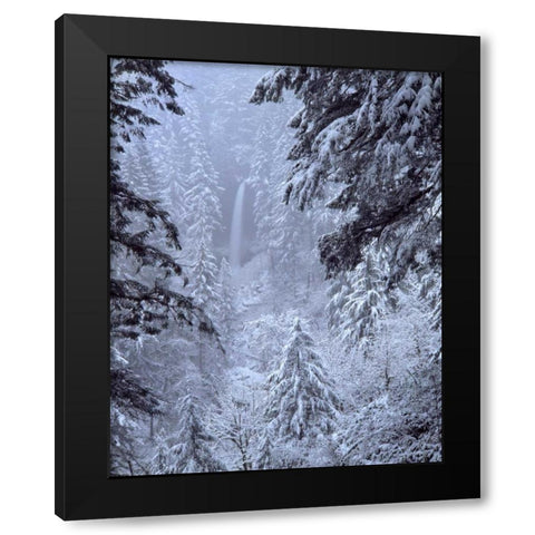 Oregon, Silver Falls North Falls in winter snow Black Modern Wood Framed Art Print with Double Matting by Terrill, Steve