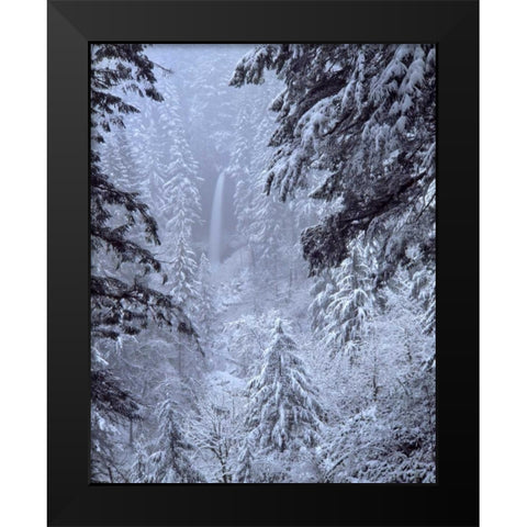 Oregon, Silver Falls North Falls in winter snow Black Modern Wood Framed Art Print by Terrill, Steve