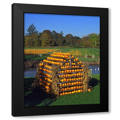 OR, Willamette Valley House made of pumpkins Black Modern Wood Framed Art Print by Terrill, Steve