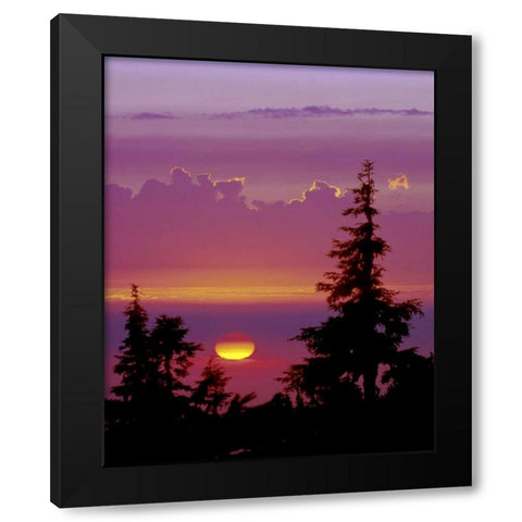 Oregon, Mt Hood Pine trees silhouetted by sunset Black Modern Wood Framed Art Print with Double Matting by Kelley, David