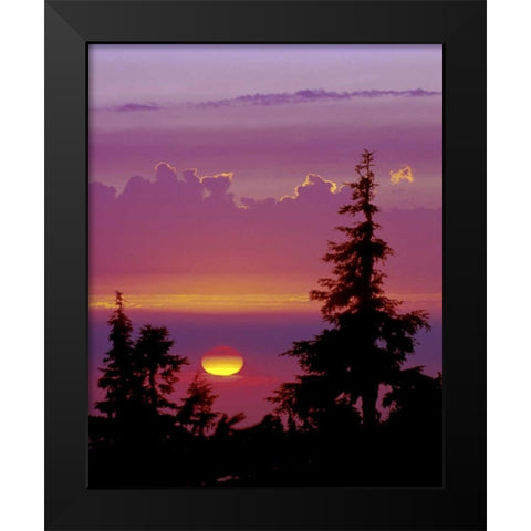 Oregon, Mt Hood Pine trees silhouetted by sunset Black Modern Wood Framed Art Print by Kelley, David