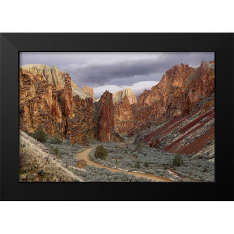 USA, Oregon View of Leslie Gulch Black Modern Wood Framed Art Print by Paulson, Don