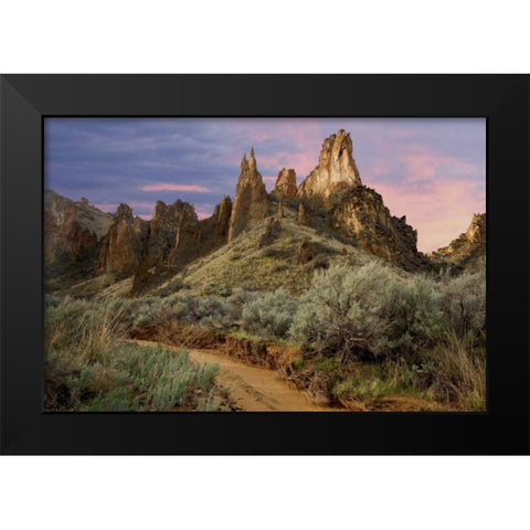 USA, Oregon View of Leslie Gulch Black Modern Wood Framed Art Print by Paulson, Don