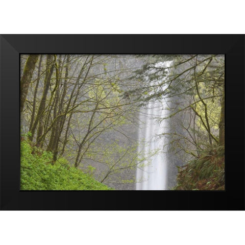 OR, Columbia River Gorge View of Latourell Falls Black Modern Wood Framed Art Print by Paulson, Don