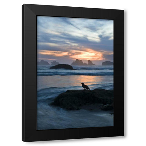 OR, Bandon Beach Seagull silhouette at sunset Black Modern Wood Framed Art Print by Rotenberg, Nancy
