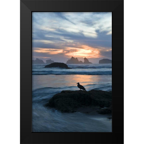 OR, Bandon Beach Seagull silhouette at sunset Black Modern Wood Framed Art Print by Rotenberg, Nancy