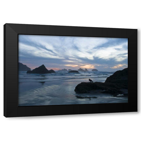 OR, Bandon Beach Seagull silhouette at sunset Black Modern Wood Framed Art Print with Double Matting by Rotenberg, Nancy