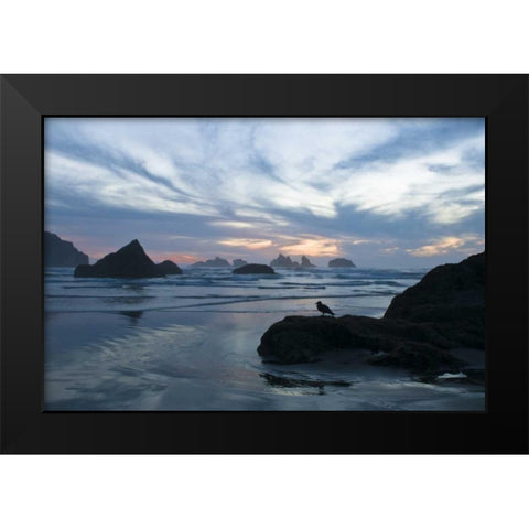 OR, Bandon Beach Seagull silhouette at sunset Black Modern Wood Framed Art Print by Rotenberg, Nancy