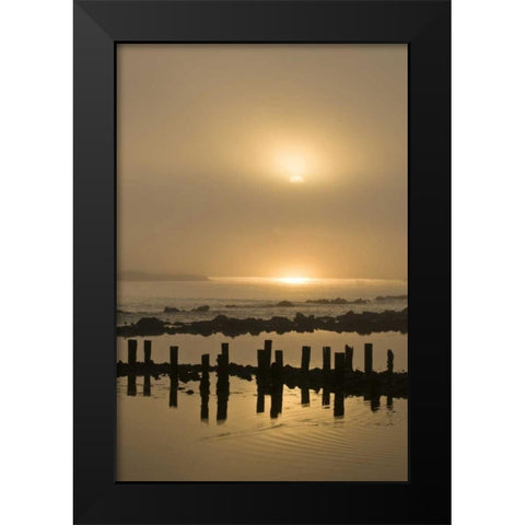 USA, Oregon, Bandon Sunrise on foggy coastline Black Modern Wood Framed Art Print by Rotenberg, Nancy