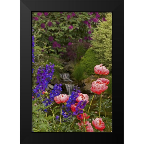 OR,Salem Flowers grow near brook Black Modern Wood Framed Art Print by Paulson, Don