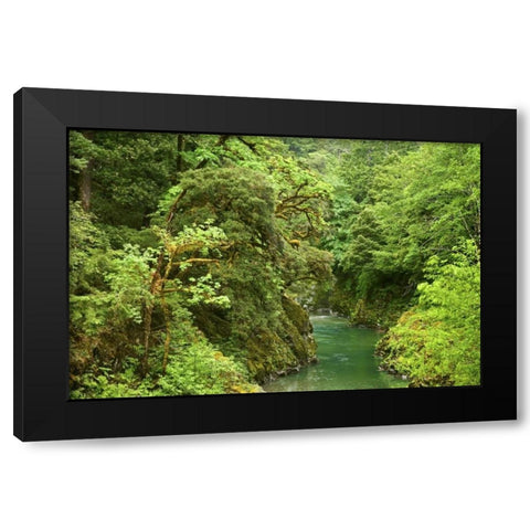 USA, Oregon, Elk River Black Modern Wood Framed Art Print with Double Matting by Paulson, Don