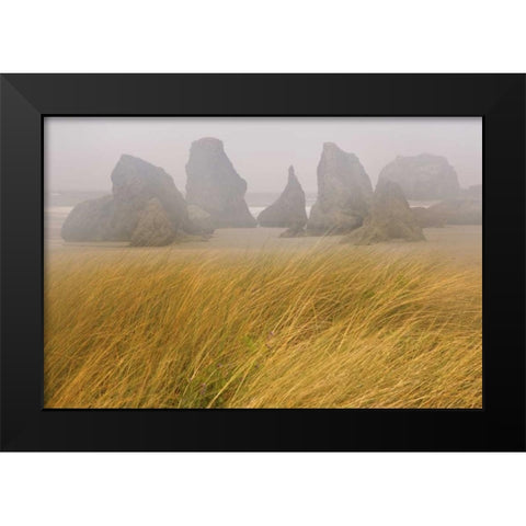 OR, Bandon Dune grass and seastacks in fog Black Modern Wood Framed Art Print by Paulson, Don