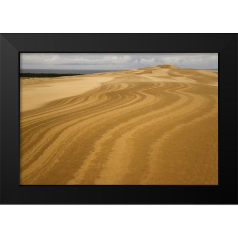 OR, Siuslaw NF, Umpqua Dunes Patterns in dunes Black Modern Wood Framed Art Print by Paulson, Don
