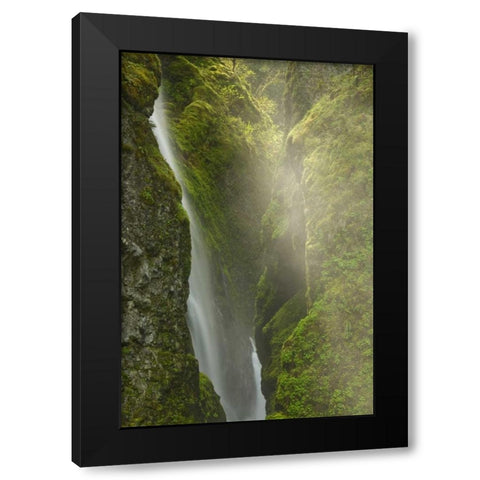 OR, Columbia Gorge Overlook of Elowah Falls Black Modern Wood Framed Art Print with Double Matting by Paulson, Don