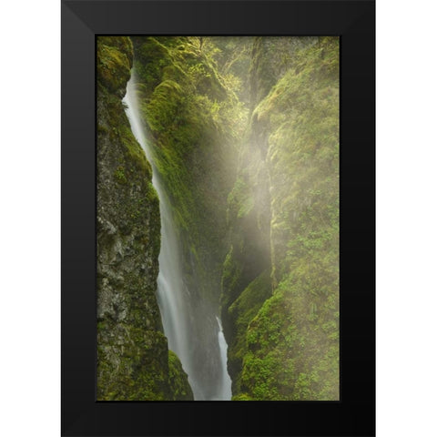 OR, Columbia Gorge Overlook of Elowah Falls Black Modern Wood Framed Art Print by Paulson, Don