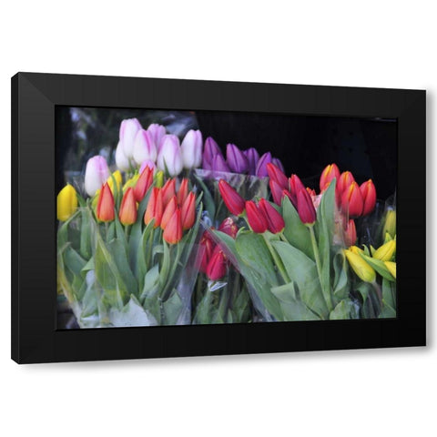 OR, Portland Bouquets of spring tulips for sale Black Modern Wood Framed Art Print by Terrill, Steve
