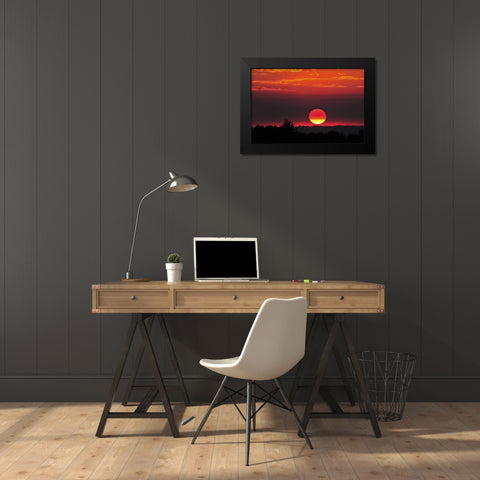 USA, Oregon, Portland Vivid red sunset Black Modern Wood Framed Art Print by Terrill, Steve