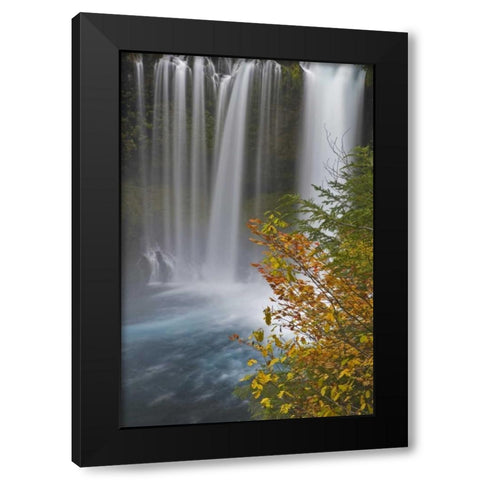 OR, Willamette NF Koosah Falls Black Modern Wood Framed Art Print with Double Matting by Paulson, Don