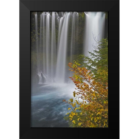 OR, Willamette NF Koosah Falls Black Modern Wood Framed Art Print by Paulson, Don