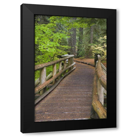 OR, Willamette NF Wooden foot bridge Black Modern Wood Framed Art Print with Double Matting by Paulson, Don