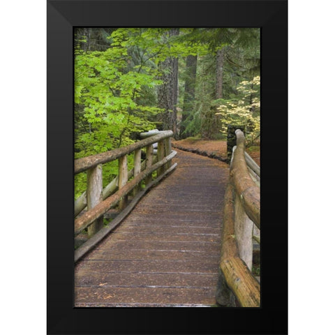 OR, Willamette NF Wooden foot bridge Black Modern Wood Framed Art Print by Paulson, Don