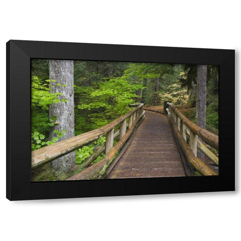 OR, Willamette NF Wooden foot bridge Black Modern Wood Framed Art Print by Paulson, Don