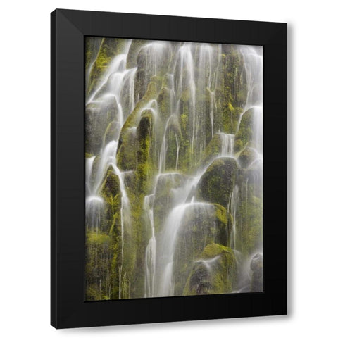 Oregon, Willamette NF View of Proxy Falls Black Modern Wood Framed Art Print with Double Matting by Paulson, Don