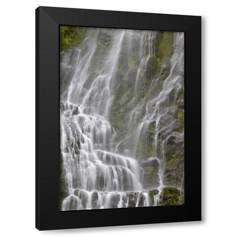 Oregon, Willamette NF View of Proxy Falls Black Modern Wood Framed Art Print with Double Matting by Paulson, Don