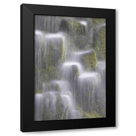 OR, Willamette NF Proxy Falls cascading water Black Modern Wood Framed Art Print with Double Matting by Paulson, Don