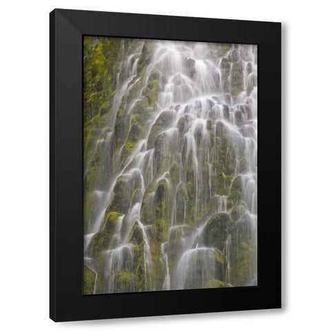 Oregon, Willamette NF View of Proxy Falls Black Modern Wood Framed Art Print with Double Matting by Paulson, Don