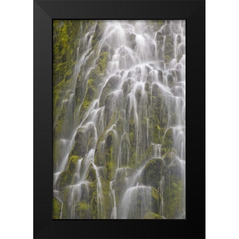 Oregon, Willamette NF View of Proxy Falls Black Modern Wood Framed Art Print by Paulson, Don