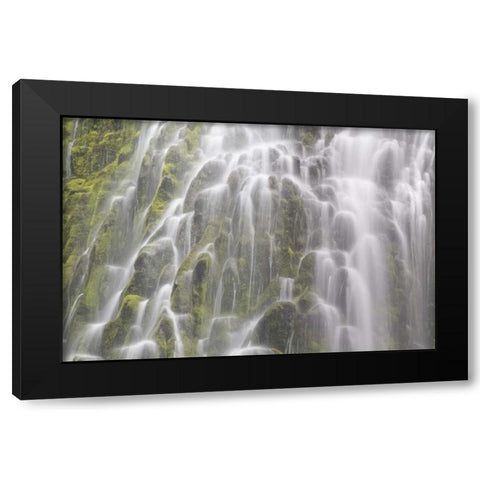 Oregon, Willamette NF View of Proxy Falls Black Modern Wood Framed Art Print by Paulson, Don