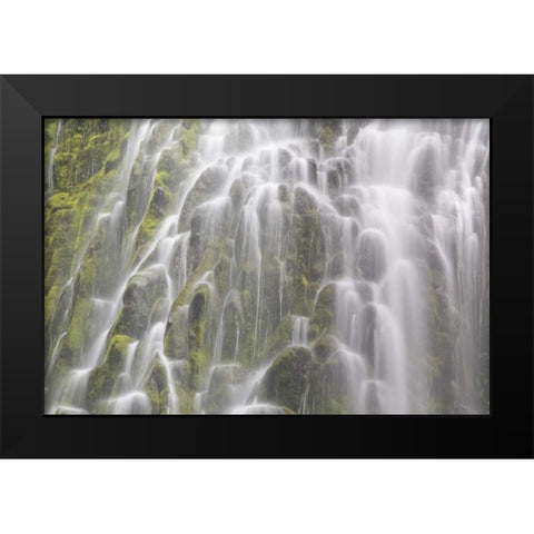 Oregon, Willamette NF View of Proxy Falls Black Modern Wood Framed Art Print by Paulson, Don